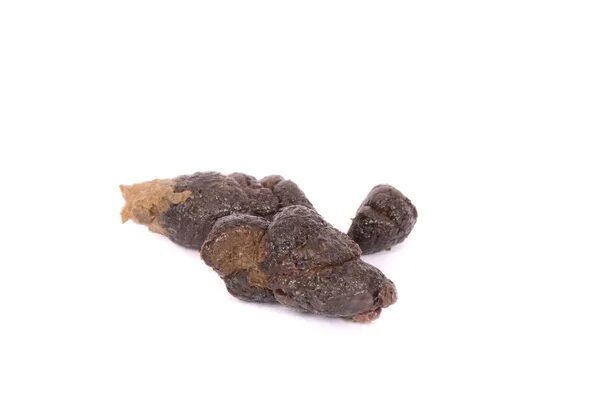 Книга про крота которому накакали. Птица гадит. Вязаная какашка. Реклама средства от запора с кукушкой. Какашка кукушку.