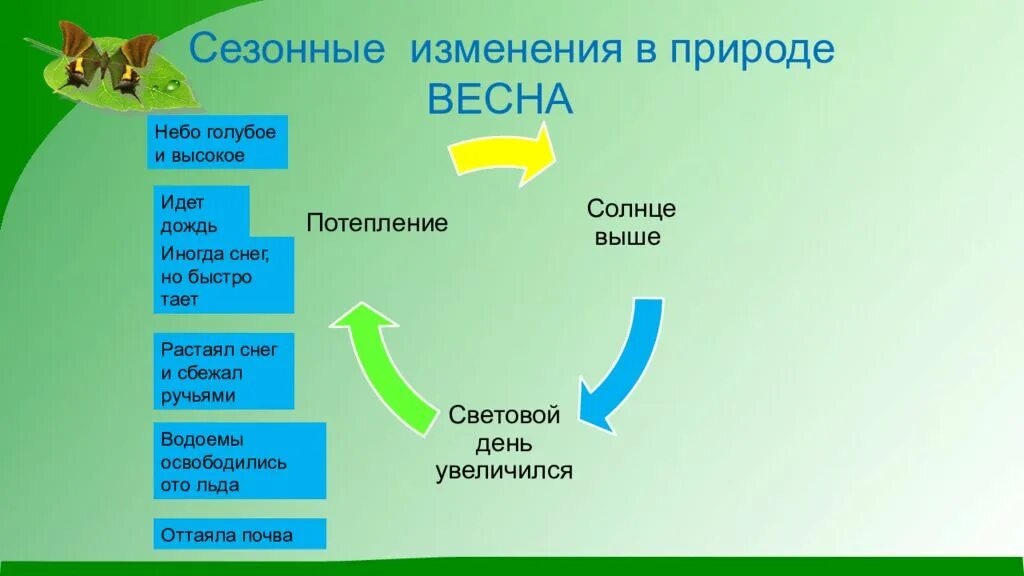 Сезонные изменения в жизни организмов краткий пересказ