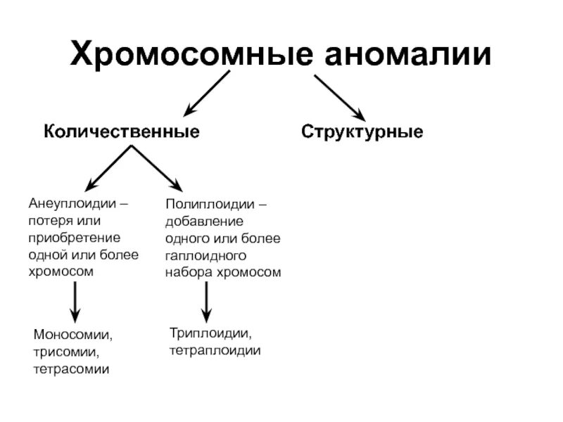 К описанию генных мутаций относятся. Хромосомные заболевания. Количественные и структурные аномалии хромосом. Классификация хромосомных болезней. Хромосомные болезни анеуплоидия.