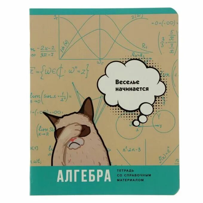 Когда начинается алгебра. Веселье начинается тетради. алгебра обложка. тетради предметные 40л. тетрадь предметная алгебра.