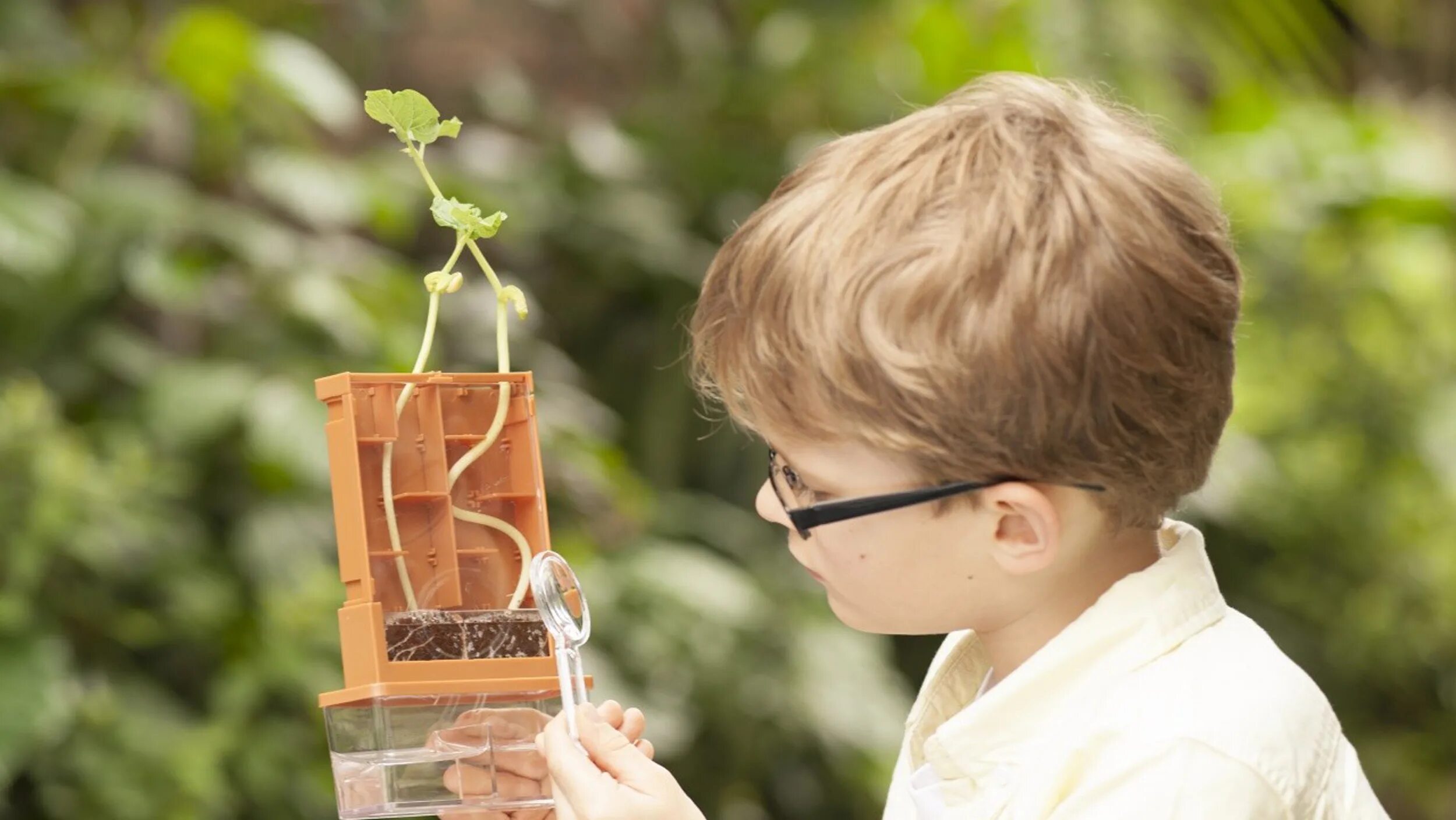 Ботаник. Ученик. Урок биологии. Эколог это для детей. Юные ботаники.