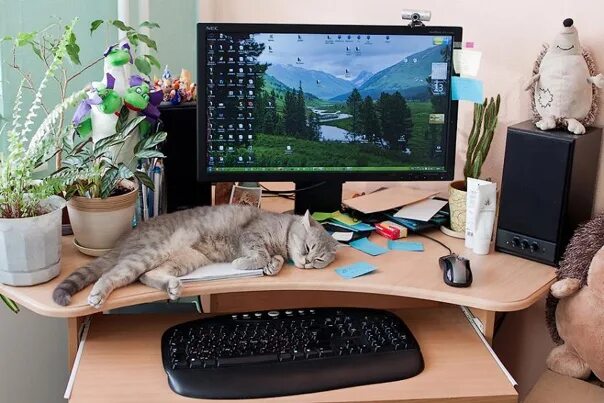 И работать в 4 х