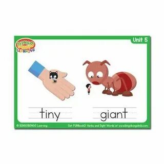 Pics tiny
