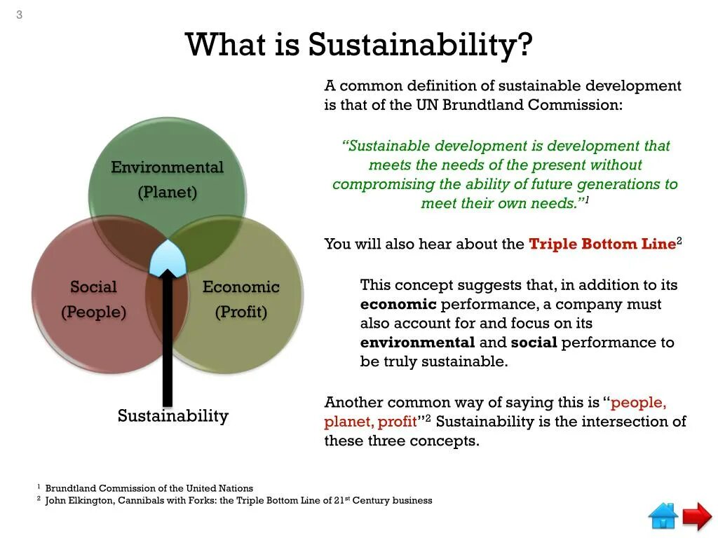 What is Sustainability. What is it Sustainability. Sustainable is. What is sustainable Development.