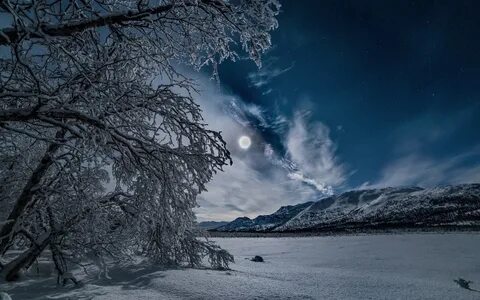 Midnight winter
