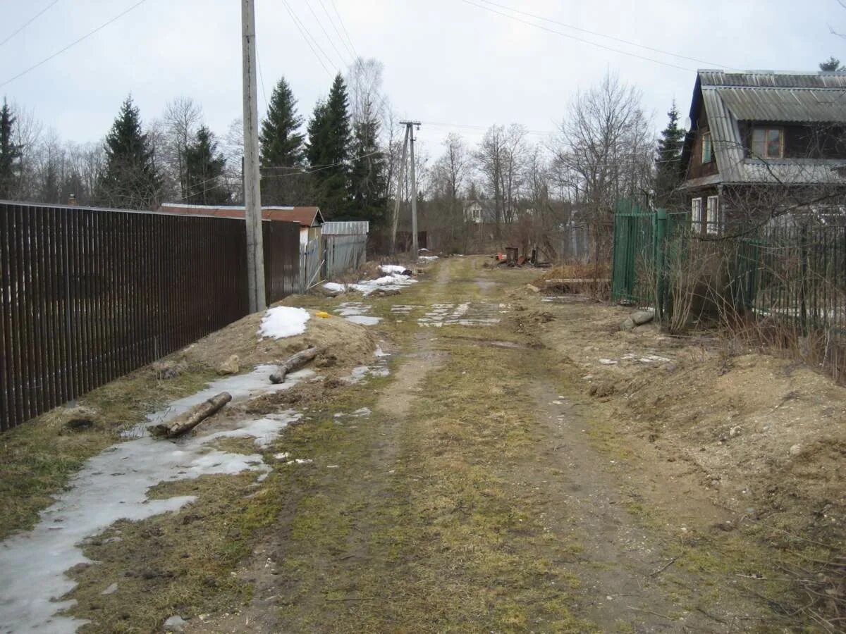 СНТ Дружба Талдом. СНТ Дружба Талдомский район. Талдомский городской округ СНТ Дружба-2.. СНТ Родник Талдомский район.