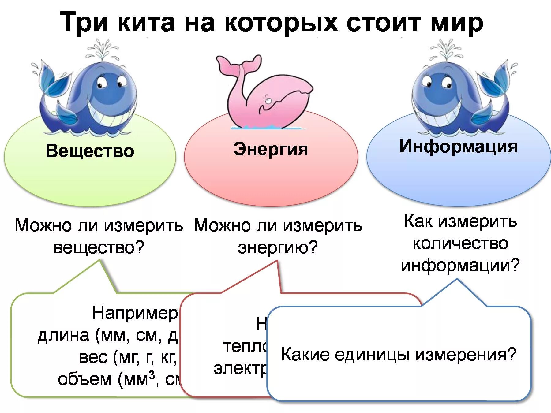 Три кита отзывы. Вещество энергия информация. Энергия и информация. Три кита. Три кита на которых стоит мир.