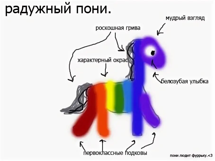 Квест Радужный пони. Радужный пони Челябинск. Квест Радужный пони в Челябинске фото. Квест Радужный пони видео. Квест пони челябинск