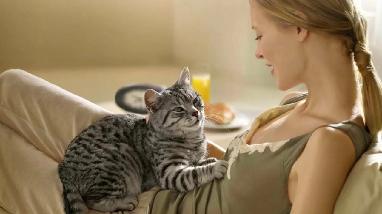 Коты любят хозяек. Коты любят хозяек