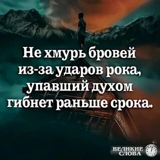 Упавший духом гибнет раньше срока