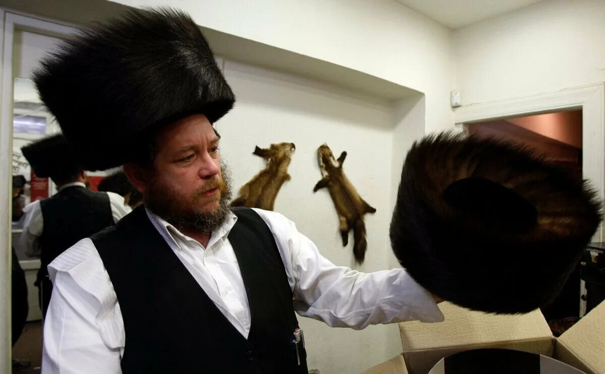 Шапки евреев ортодоксов. Сатмарские хасиды. Еврейская меховая шапка штраймл. Евреи ортодоксы евреи. Хасиды штраймл.