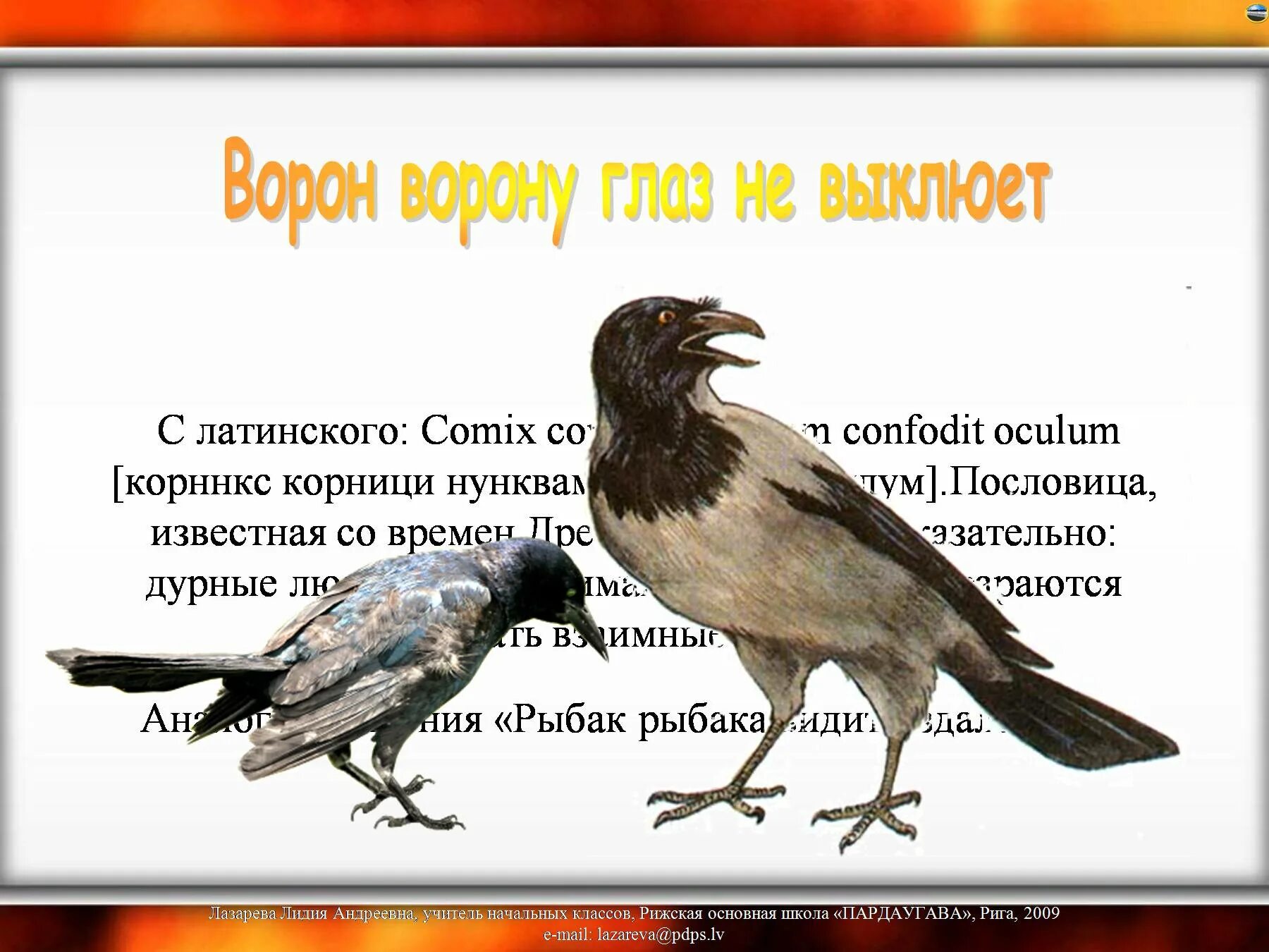 Ворон ворону глаз не выклюет. Поговорки о вороне. Ворона пословица. Пословицы про ворону. Два ворона текст