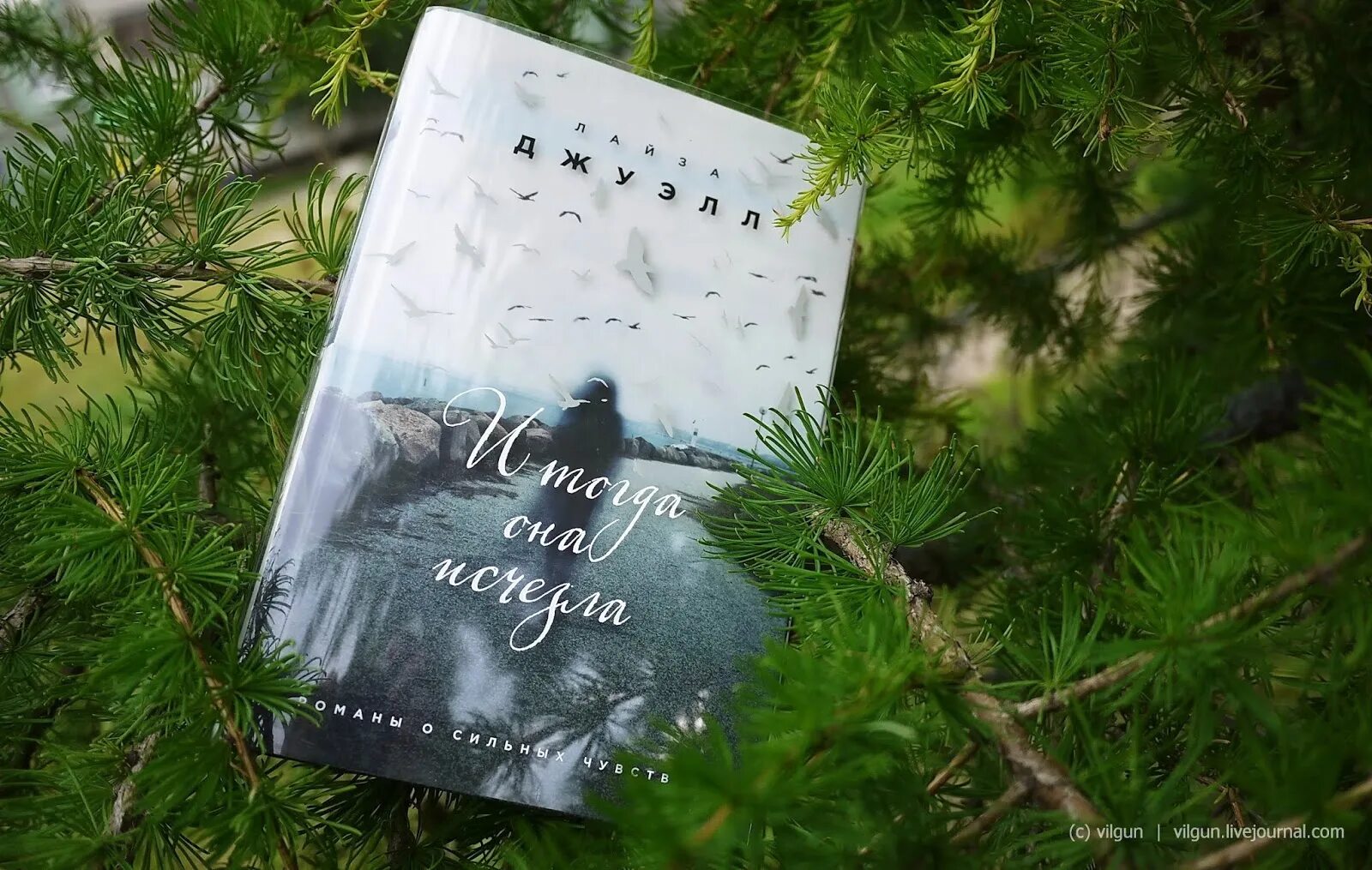 Читать она исчезла. И тогда она исчезла. и тогда она исчезла книга. и тогда она исчезла лайза джуэлл. и потом она исчезла книга.