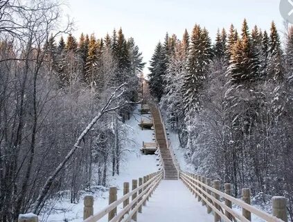 Горка в архангельском