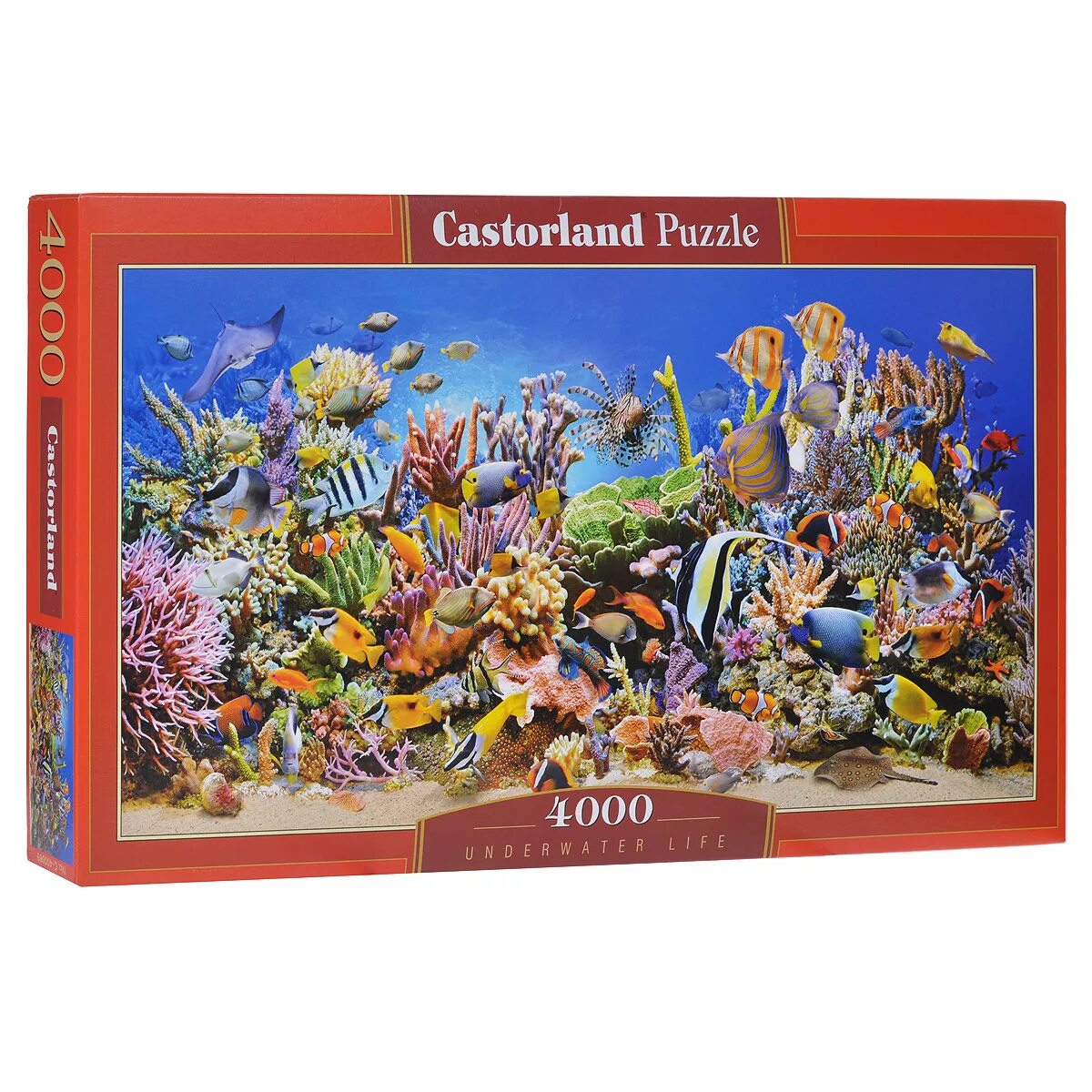 Австрия хальсштадт пазл 4000. Пазл step puzzle travel collection португалия. Пазл 4000 деталей животные. Пазл 4000 деталей castorland. Пазлы 4000 элементов касторленд.