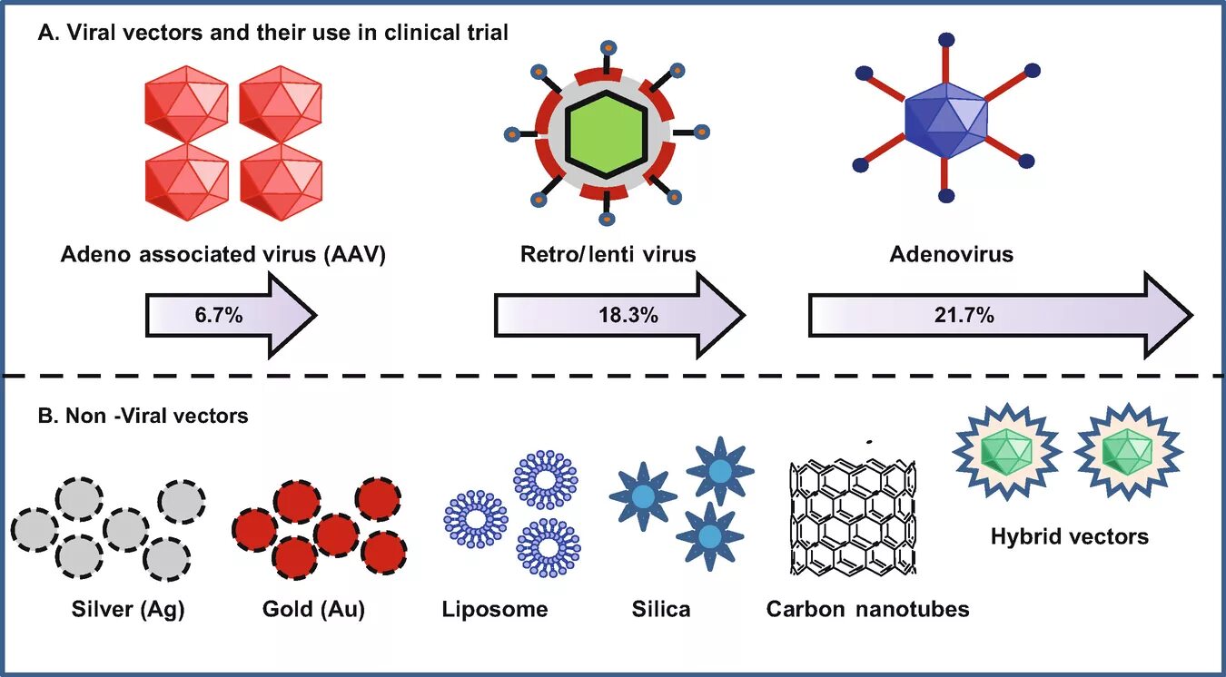 Viral. Viral группа. Viral and non Viral Gene delivery. Non-Viral format.