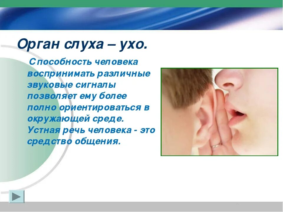 Гигиена органов слуха. Органы чувств слух. Слух презентация. Гигиена уха и слуха.