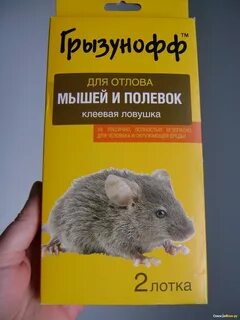 Клеевая ловушка для мышей