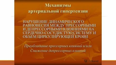 Механизм гипертензии