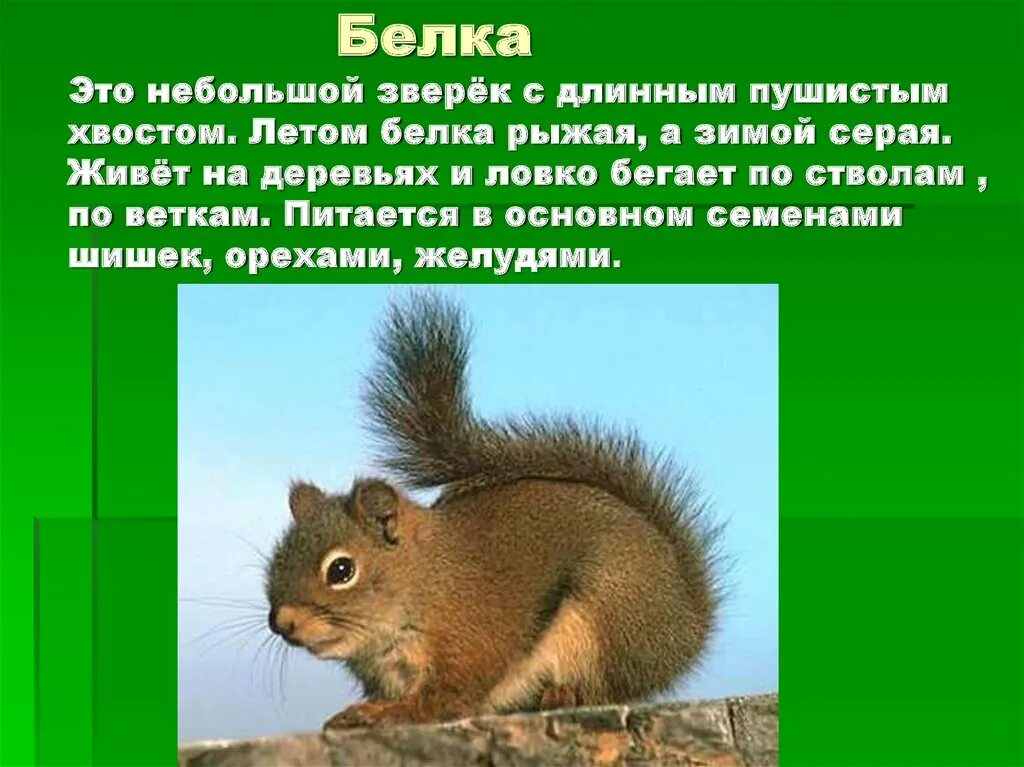 Маленькое сообщение