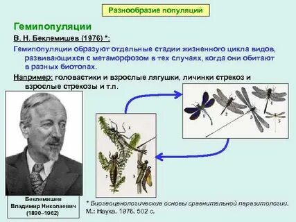 Популяция ученый