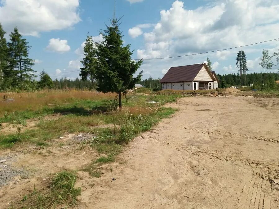 Погода елизаветинка всеволожский