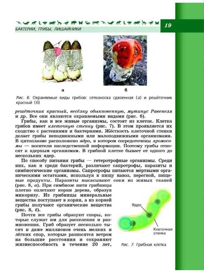 Биология 7 класс учебник пасечник страницы