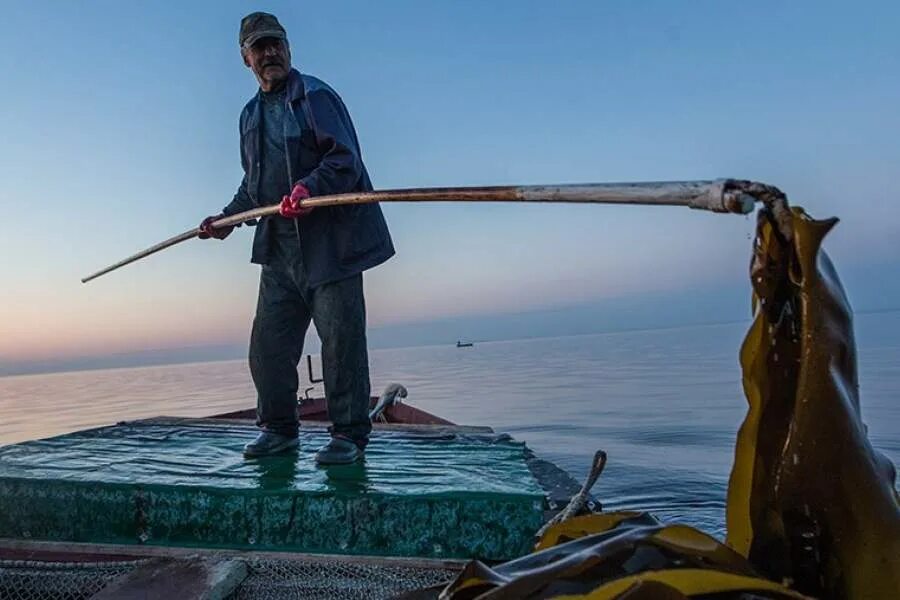 Как добывают морскую