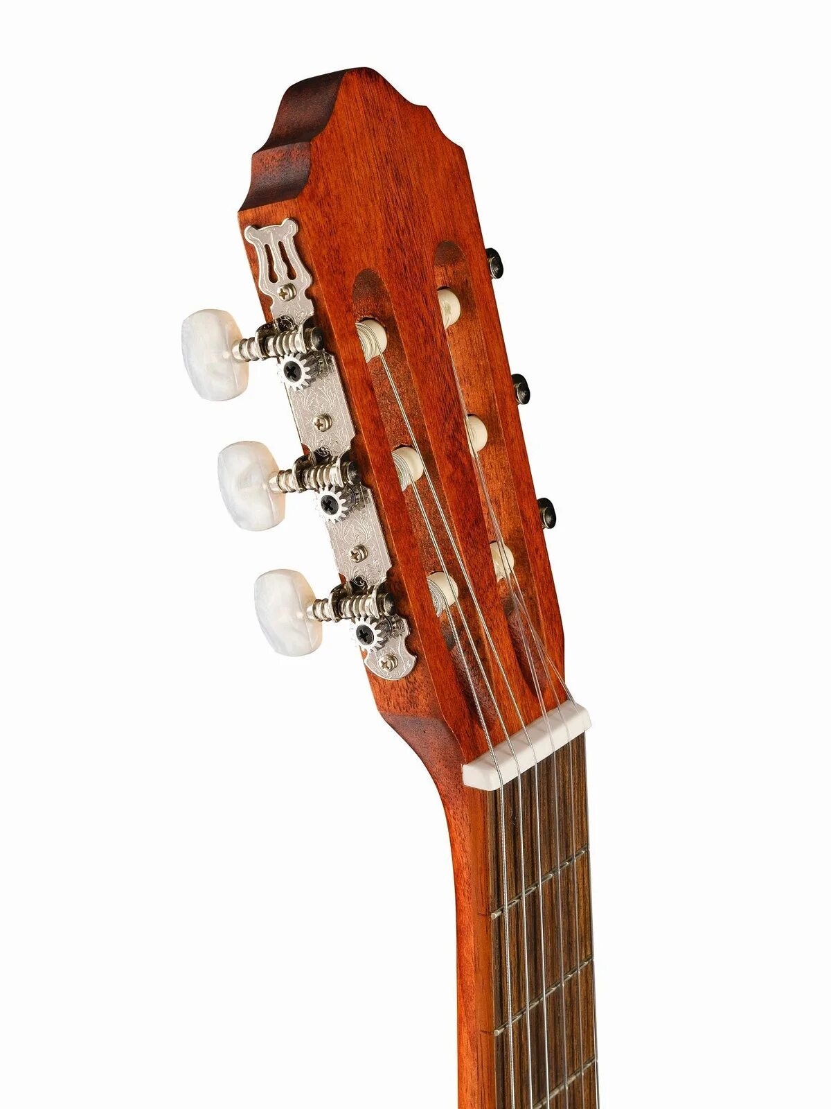 Гитара cort ac100 op. Cort ac100 op. cort ac200-nat. ac100-op classic series. гитара модель ac100 op.