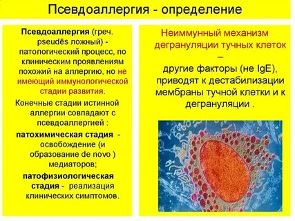 Аллергия появилась во взрослом возрасте
