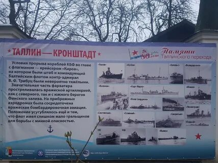 Таллинский часы работы