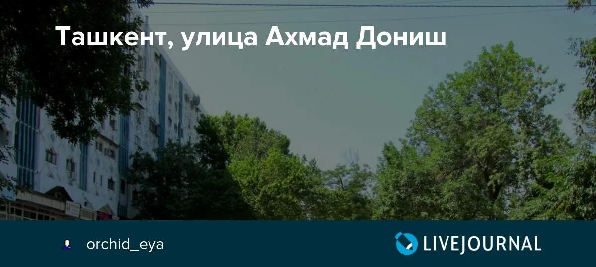 Ташкент Ахмад Дониш. Улица Ахмада Дониша в Ташкенте. Ахмад Дониш улица Ташкент фото. Улица Ахмад Дониш Ташкент на карте. Ахмад дониш