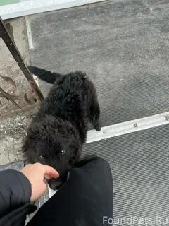 Сильно п