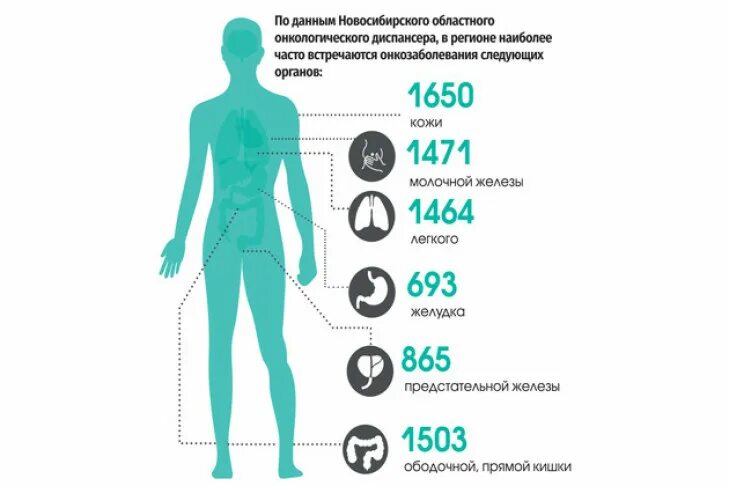 У скольких людей рак. Раковые заболевания виды. Онкозаболевания каких органов. Частые онкологические заболевания у мужчин самые. Самая частая онкология у женщин.