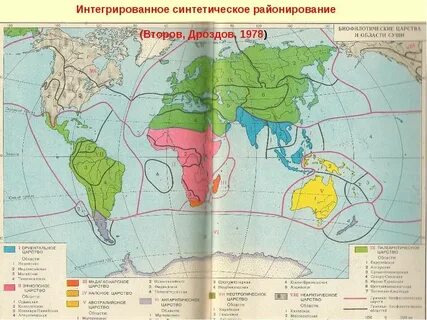 Границы царства