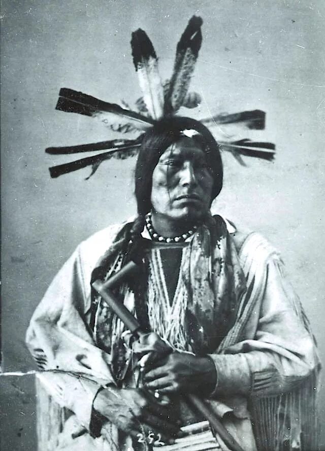 First natives