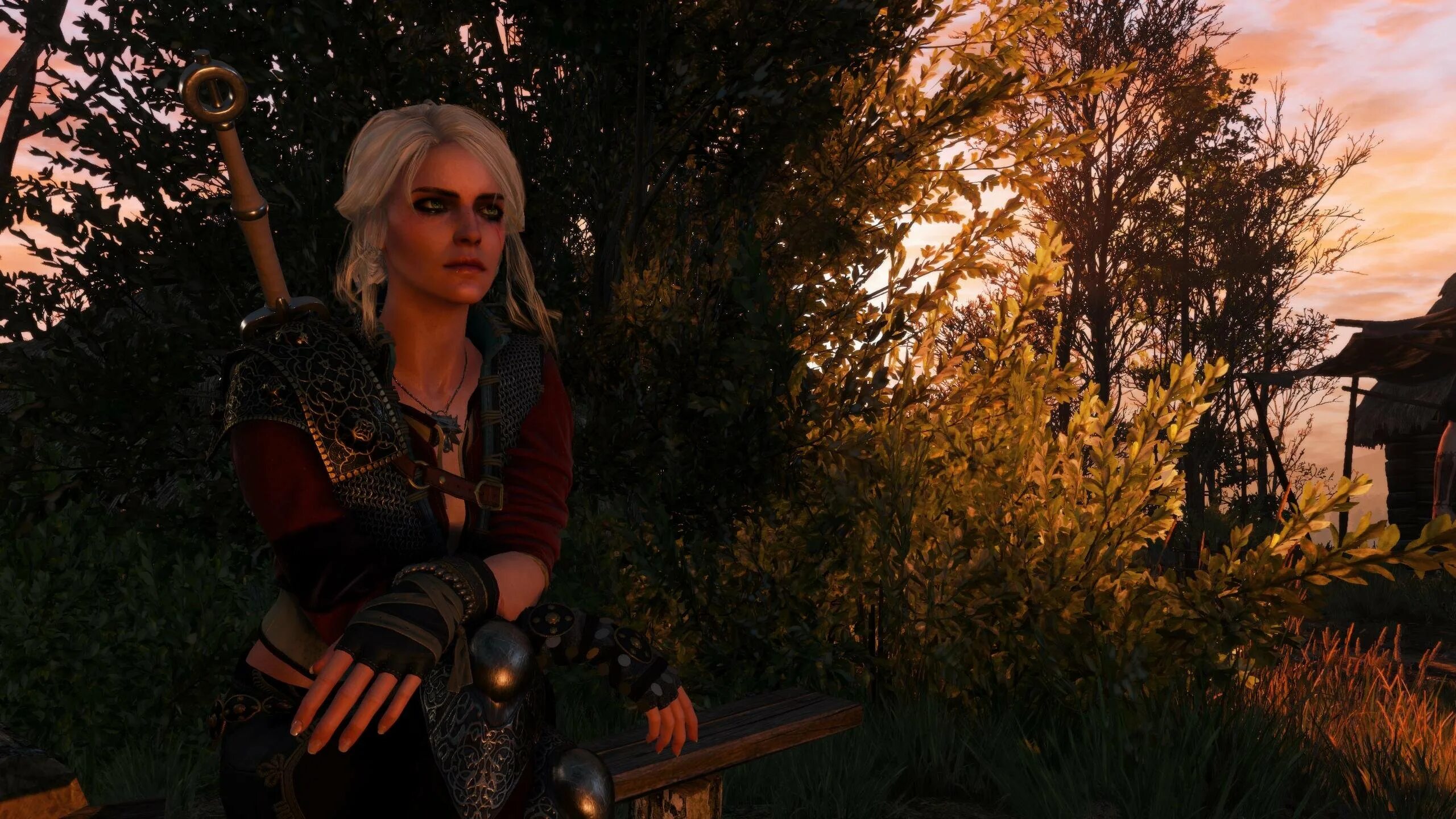 Цирилла Ведьмак 3. The Witcher 3 Wild Hunt Цири. Ведьмак 3 Ciri.