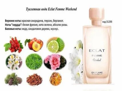 Описание туалетной