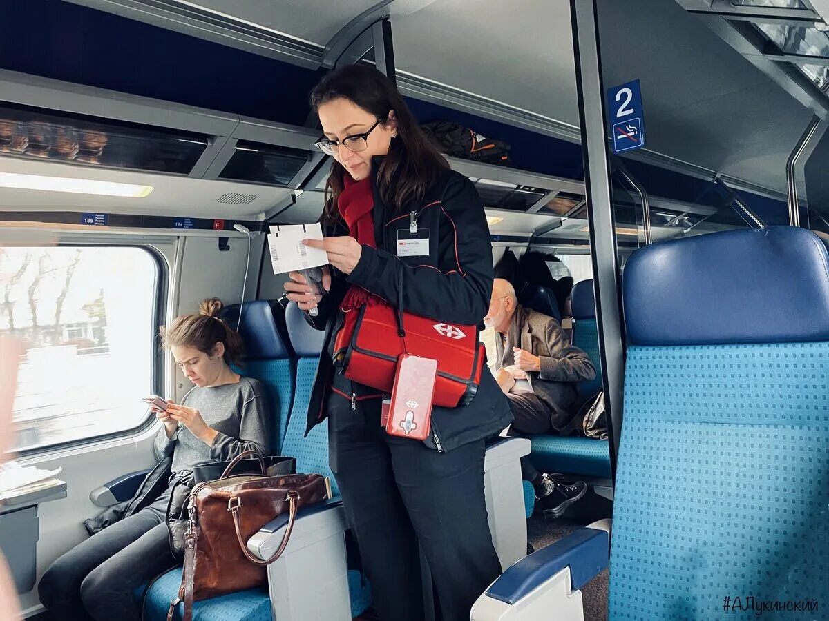 Украинские железные дороги. Поезд спб симферополь. Русское депо. Русское депо. Против ржд.