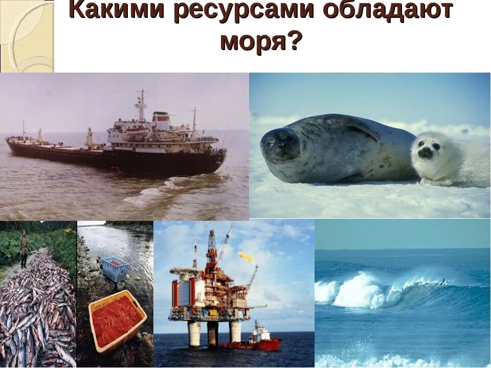 Белое море ресурсы и их использование: найдено 89 изображений