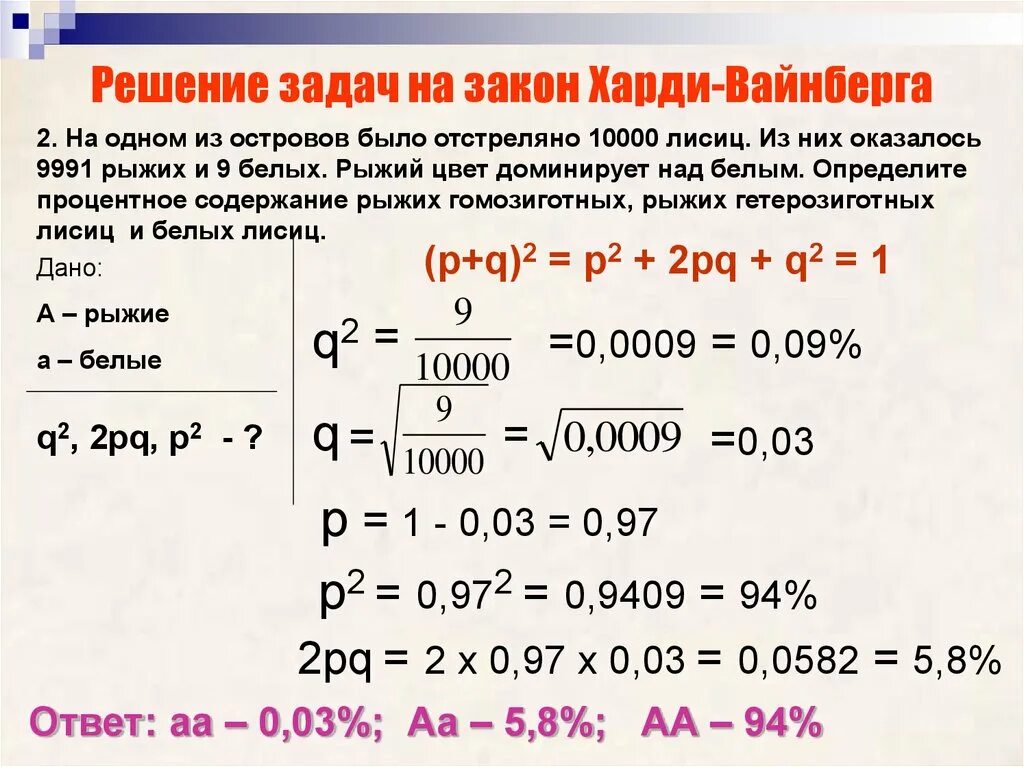 Состояние равновесия харди вайнберга. Задачи на закон Харди Вайнберга. Задачи по закону Харди Вайнберга. Задачи на Харди Вайнберга с решением. Задачи на закон Харди-Вайнберга с решением.