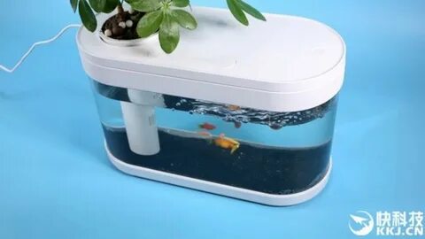 Xiaomi myg100 аквариум инструкция