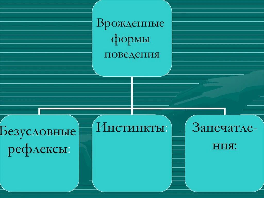 Формы поведения человека. Врожденные формы поведения безусловные рефлексы и инстинкты. Рефлексы формы поведения таблица. Врожденные формы поведения.