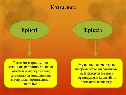 Қмж дене