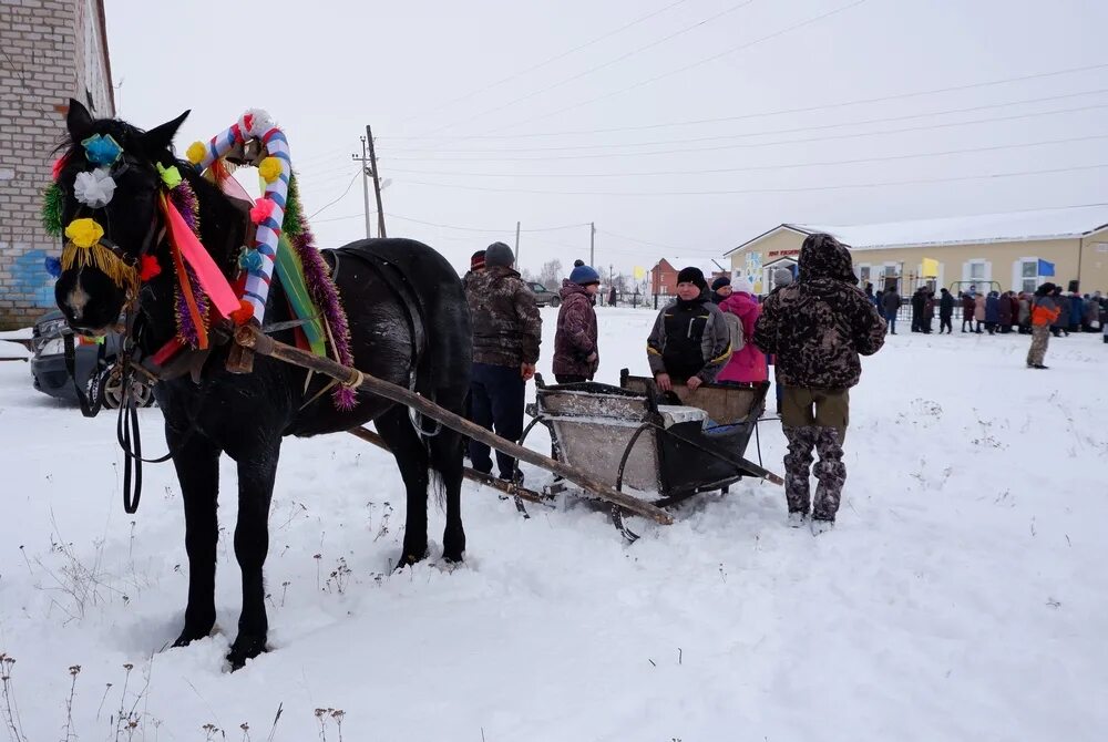 Погода большой гондырь 10