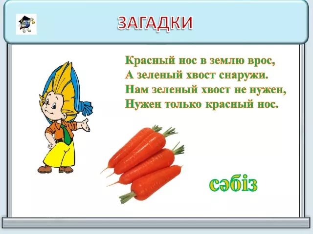 Загадка про красный цвет. Красный нос в землю врос. Загадка красный нос в землю врос а зеленый хвост снаружи ответ. Длинный красный 21 загадка. Ответ на загадку красненькая