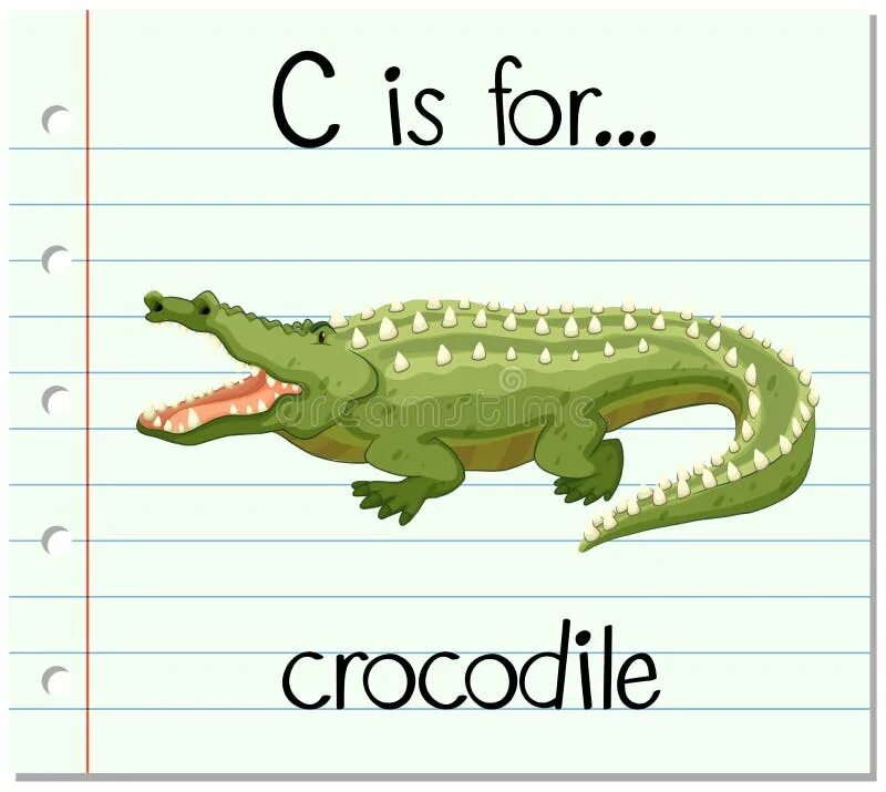 Карточки домана ""обитатели воды"" вундеркинд с пеленок. Карточки по английскому языку животные. Крокодил транскрипция. Крокодил на английском языке. Крокодил чб.