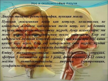 Қынапты қатайтатын порно