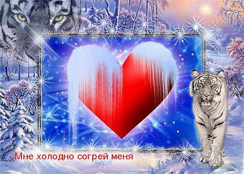 Песня мне холодно согрей меня. Согрей меня. Без тебя мне холодно. Песня мне холодно согрей меня. Согрей меня.