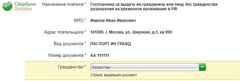 Срок оплаты госпошлины